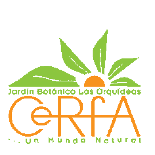 cerfa
